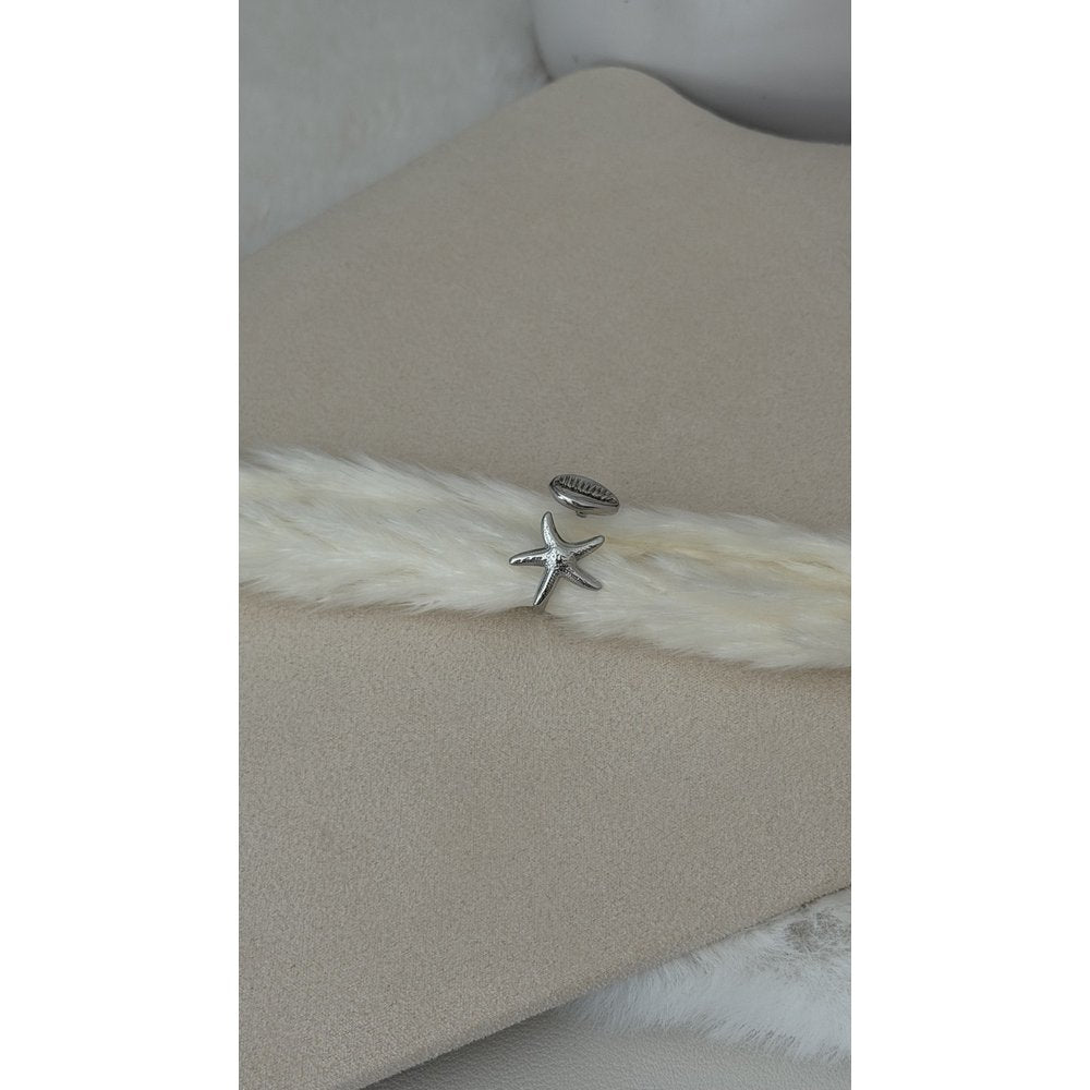 Ring Seestern Muschel