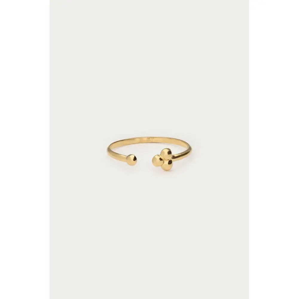 MJ Ring Punkte - Ring